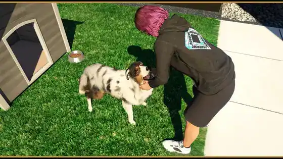 gtaonline mansionsdlc dog
