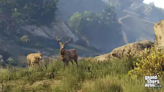 GTA5 NextGen 008 Wildlife Deer