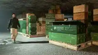 Bunker Cargo — GTA Online reference imagery