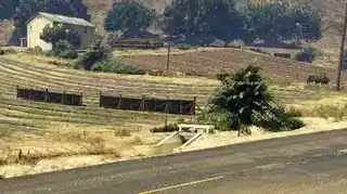 Bike Race: Track and Field — reference image