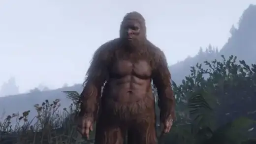 Animals collection