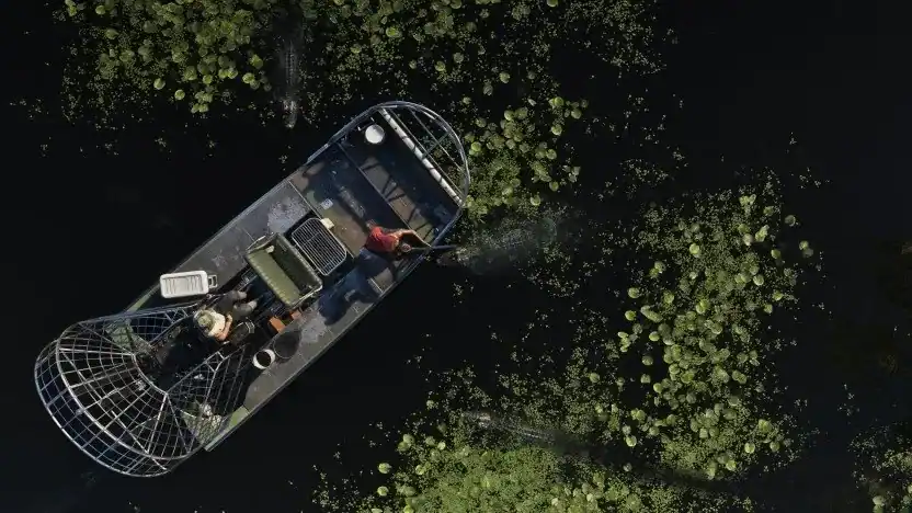 Airboat / Fanboat in a GTA VI reference screenshot