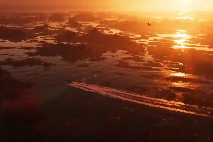 Bati 801 — reveal image 72