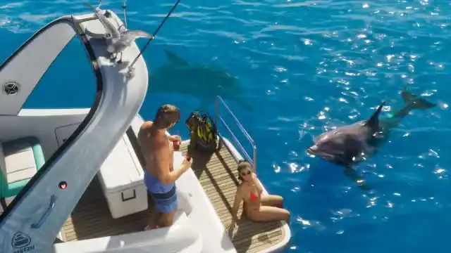 Dolphin GTA VI scene