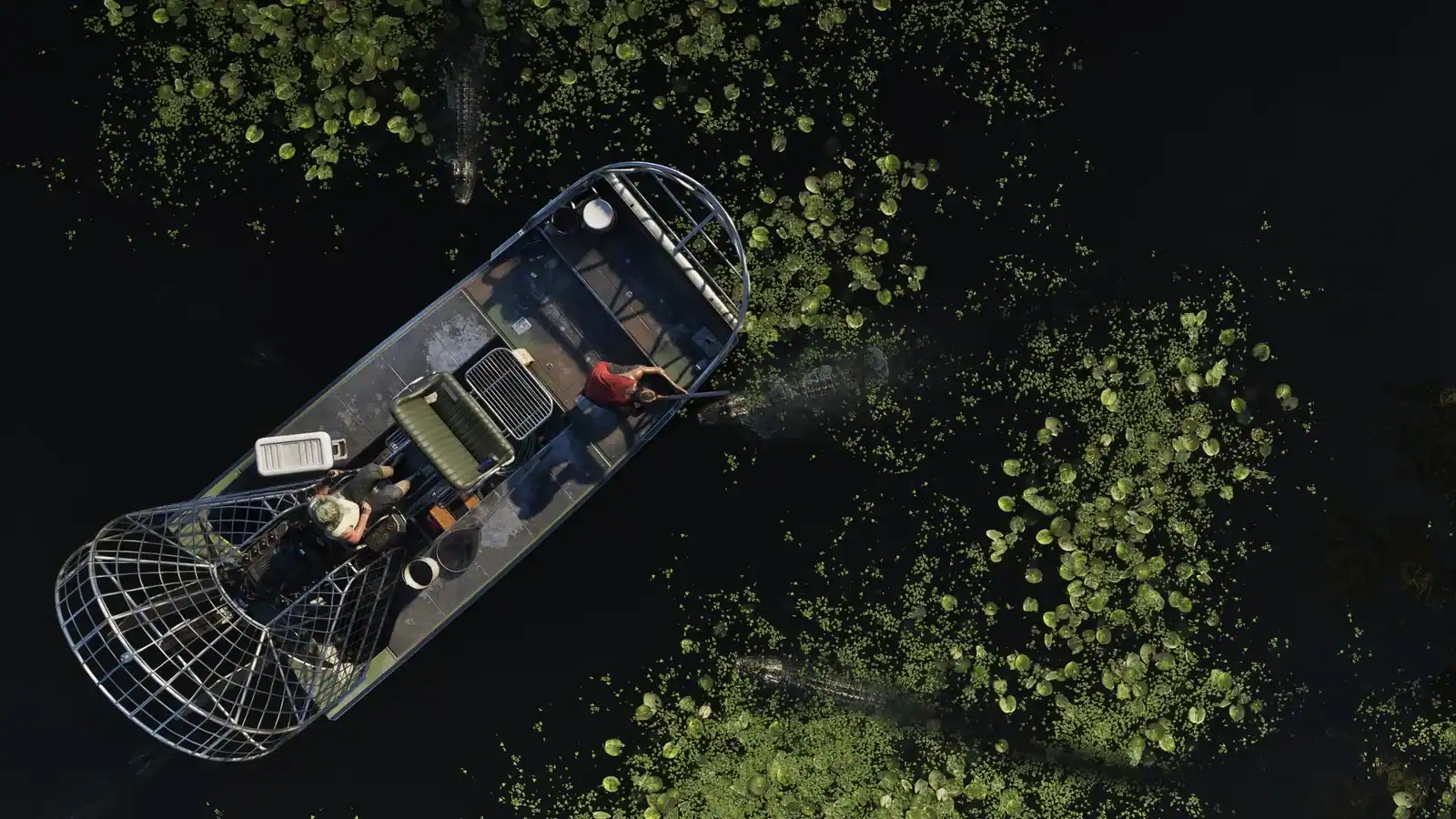 Grassrivers 03 — official Grand Theft Auto VI screenshot