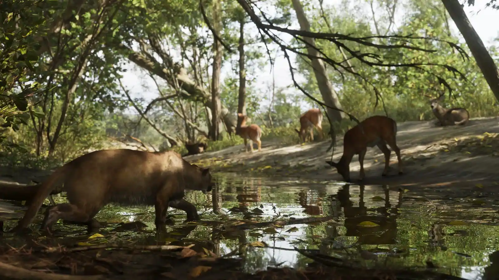 Mount Kalaga National Park 05 — official Grand Theft Auto VI screenshot